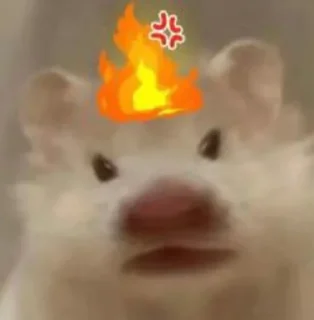 💰 emoji 飞机号 僵尸粉 苹果ID👉 @laogou98 Telegram sticker 24 of 57