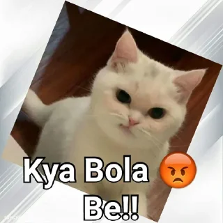 Sticker from Cats In Hindi @CrazyStarSticker