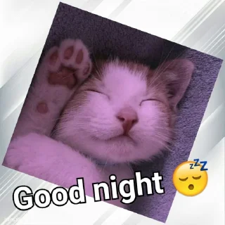 💤 emoji Cats In Hindi @CrazyStarSticker Telegram sticker 8 of 57