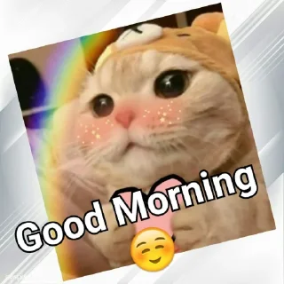 🥰 emoji Cats In Hindi @CrazyStarSticker Telegram sticker 12 of 57