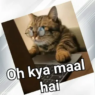 🤤 emoji Cats In Hindi @CrazyStarSticker Telegram sticker 10 of 57