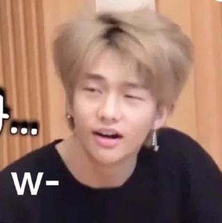 Sticker from skz memes