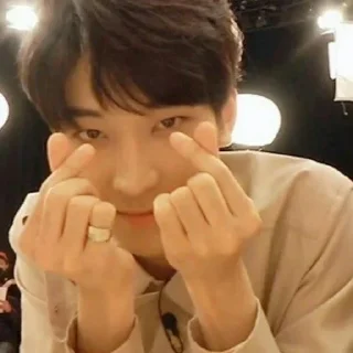 💚 emoji Wonwoo, @sateurdate Telegram sticker 6 of 10