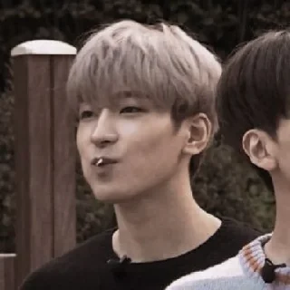 💣 emoji wonwoo ⌇ @willhelpyou Telegram sticker 9 of 68