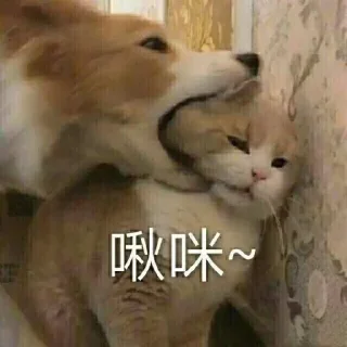 😓 emoji 九游会全球招代理  @ga8866 Telegram sticker 22 of 65