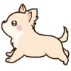 🦮 emoji ₍ ᥴᥙᴛᥱ ᥴɦiɦᥙᥲɦᥙᥲ ɗ᧐g ₎ ˚₊· ♡ @mewsticks Telegram sticker 19 of 40