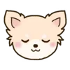 🦮 emoji ₍ ᥴᥙᴛᥱ ᥴɦiɦᥙᥲɦᥙᥲ ɗ᧐g ₎ ˚₊· ♡ @mewsticks Telegram sticker 5 of 40