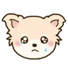 🦮 emoji ₍ ᥴᥙᴛᥱ ᥴɦiɦᥙᥲɦᥙᥲ ɗ᧐g ₎ ˚₊· ♡ @mewsticks Telegram sticker 3 of 40
