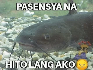😢 emoji pa-kang — ya bitch, nami — @stckrRobot Telegram sticker 16 of 49