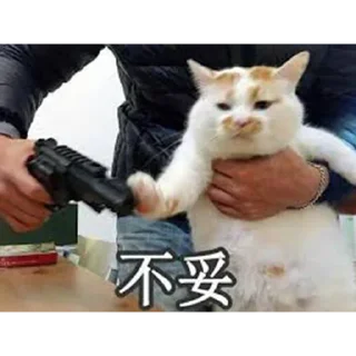 🐱 emoji 免费嫩模裸聊 空降美女 @obzsb789 Telegram sticker 17 of 120