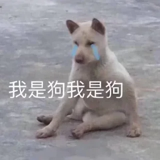 🐶 emoji 免费嫩模裸聊 空降美女 @obzsb789 Telegram sticker 14 of 120