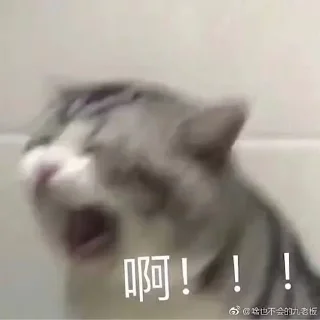 😱 emoji 我饱了🍪别画了～ @ymzscat Telegram sticker 16 of 120