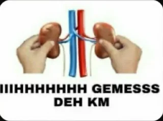 Sticker from punya ku😡