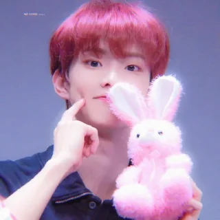 🧸 emoji ↷ ·˚ ༘  Q TBZ @asphothetic :: ꒱: Telegram sticker 15 of 15