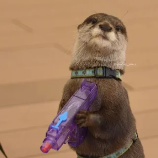 🦦 emoji otter Telegram sticker 11 of 34