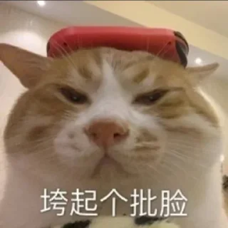 🙄 emoji @xachedui 西安车队 Telegram sticker 12 of 120