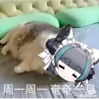 😨 emoji 柴郡猫猫的一周 @NyankoNyankoNyaaNyaa Telegram sticker 21 of 91