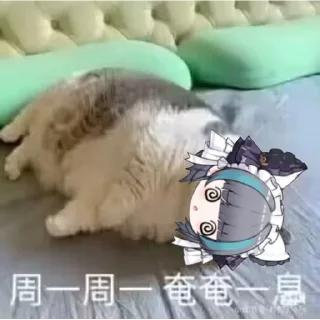 😨 emoji 柴郡猫猫的一周 @NyankoNyankoNyaaNyaa Telegram sticker 23 of 91