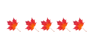 🍁 emoji @MyTelegramThemes ofc Telegram sticker 24 of 35