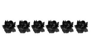 🌹 emoji @MyTelegramThemes ofc Telegram sticker 11 of 35