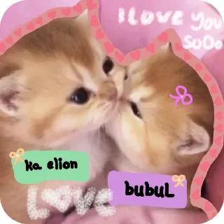 🐱 emoji all abt ka alomani😝💖 Telegram sticker 5 of 15