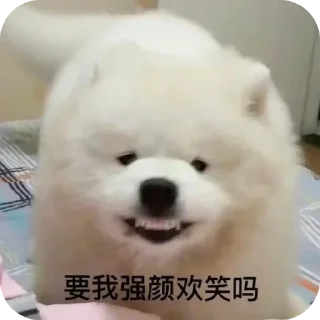 🙂 emoji 给月月用 Telegram sticker 16 of 49