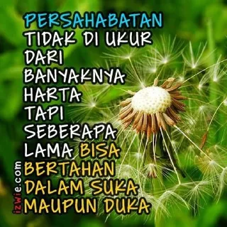 🌹 emoji Selamat pagi Telegram sticker 9 of 14