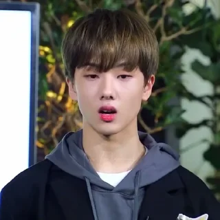 🐾 emoji Jisung by @thvok Telegram sticker 14 of 40