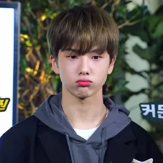 🐾 emoji Jisung by @thvok Telegram sticker 15 of 40