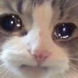 😢 emoji 江湖社群 Telegram sticker 10 of 91