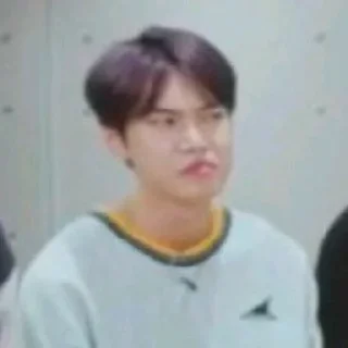 Sticker from Kpop meme by @hana_hoon22