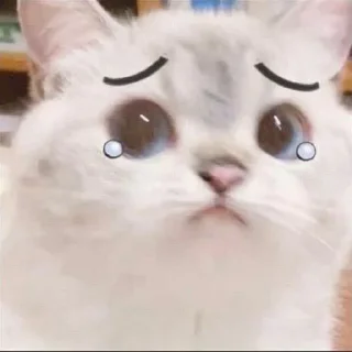 🧐 emoji 我爱吃蛋挞 Telegram sticker 3 of 112