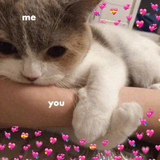 🥺 emoji Wholesome Telegram sticker 20 of 120