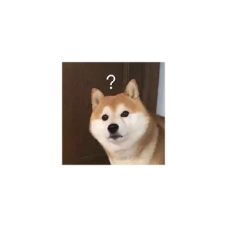 😃 emoji 欧宝招商-西门⛩  @OB521  ⛩ Telegram sticker 9 of 105