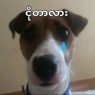 😭 emoji Your stickers - @my_stckers_bot Telegram sticker 18 of 108