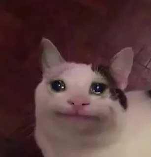 😭 emoji Your stickers - @my_stckers_bot Telegram sticker 17 of 119