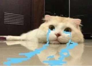 😭 emoji Your stickers - @my_stckers_bot Telegram sticker 19 of 120