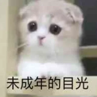 Sticker from 查档找闪电 @sdcha