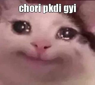 Sticker from Hn m vhi hu or fir se krungi bol kya kr lega😡's