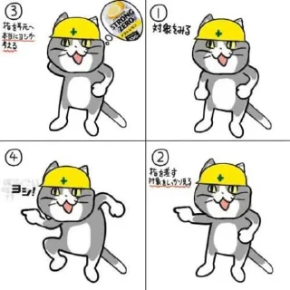 👍 emoji 現場猫 Telegram sticker 13 of 19