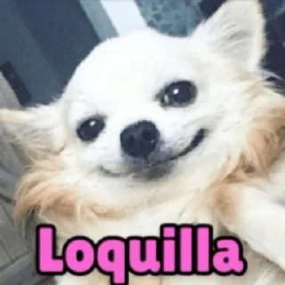😀 emoji Perritos pa' responder 2 🐶❤️ Telegram sticker 17 of 18
