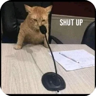 🐱 emoji Kittu (mussu) Telegram sticker 9 of 58