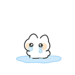 💬 emoji 몽실몽실 아기냥 3 By @KakaoEmoticon Telegram sticker 2 of 24