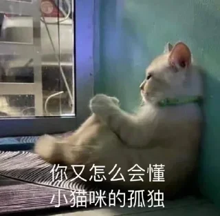 😂 emoji 大象5 Telegram sticker 5 of 49