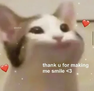 🫧 emoji meaw~ @cheshayaa Telegram sticker 12 of 20