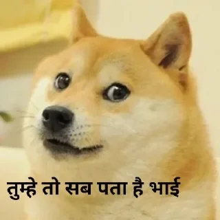 😏 emoji CHEEMS @U_ND_ME , @STICKERSADDAA — @stckrRobot Telegram sticker 17 of 110