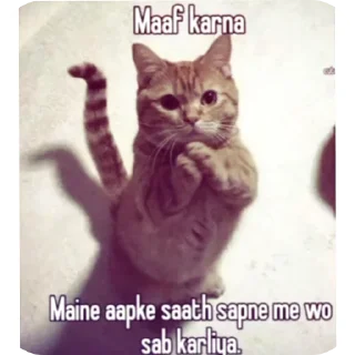 🐱 emoji @piyushsharma_007 Telegram sticker 12 of 59