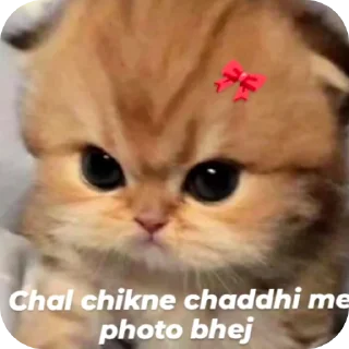 🐱 emoji @piyushsharma_007 Telegram sticker 14 of 59