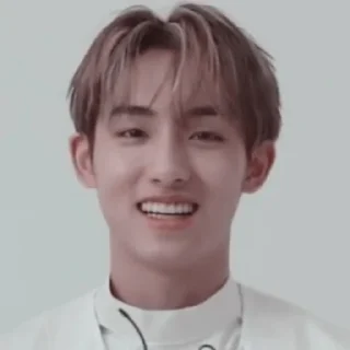 🌱 emoji Winwin @stickernct Telegram sticker 11 of 30