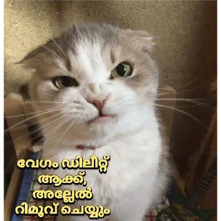 😡 emoji Mine Telegram sticker 14 of 120